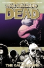 Image for The walking dead. : Book 7