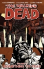 Image for The walking dead. : Volume 17