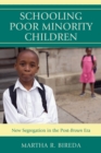 Image for Schooling Poor Minority Children : New Segregation in the Post-Brown Era