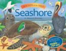 Image for Sounds of the Wild: Seashore