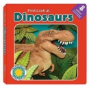 Image for First Look at Dinosaurs