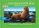 Image for Galapagos Fur Seal