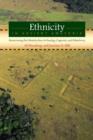 Image for Ethnicity in ancient Amazonia  : reconstructing past identities from archaeology, linguistics, and ethnohistory