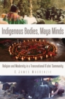 Image for Indigenous bodies, Maya minds: religion and modernity in a transnational K&#39;iche&#39; community