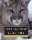 Image for YELLOWSTONE COUGARS