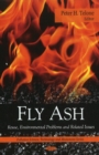 Image for Fly ash  : reuse, environmental problems &amp; related issues