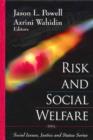 Image for Risk and social welfare
