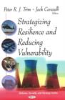 Image for Strategizing resilience and reducing vulnerability