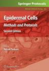 Image for Epidermal Cells
