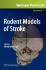 Image for Rodent Models of Stroke