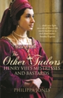 Image for Other Tudors: Henry VIII&#39;s Mistresses and Bastards