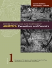 Image for Burned Palaces and Elite Residences of Aguateca : Excavations and Ceramics