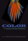 Image for Color in the Ancestral Pueblo Southwest