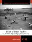 Image for Point of Pines Pueblo : A Mountain Mogollon Aggregated Community