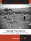 Image for Point of Pines Pueblo: a mountain Mogollon aggregated community : 132