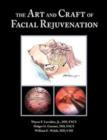 Image for The Art and Craft of Facial Rejuvenation