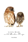 Image for Little Birds with Broken Wings