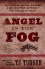 Image for Angel in the Fog : Volume 3