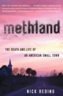 Image for Methland: the death and life of an American small town