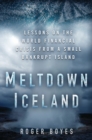 Image for Meltdown Iceland: lessons on the world financial crisis from a small bankrupt island