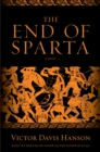 Image for The end of Sparta: a novel