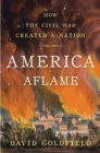 Image for America aflame: how the Civil War created a nation