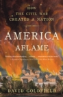 Image for America aflame  : how the Civil War created a nation
