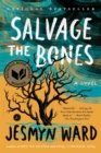 Image for Salvage the bones: a novel