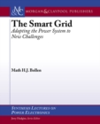 Image for The Smart Grid : Adapting the Power System to New Challenges