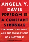 Image for Freedom is a constant struggle: Ferguson, Palestine, and the foundations of a movement