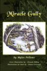 Image for Miracle Gully
