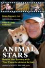 Image for Animal stars  : behind the scenes with your favorite animal actors