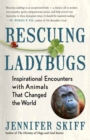 Image for Rescuing Ladybugs