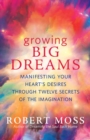 Image for Growing Big Dreams : Manifesting Your Heart&#39;s Desires Through Twelve Secrets of the Imagination
