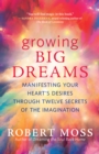 Image for Growing big dreams: manifesting your heart&#39;s desires through twelve secrets of the imagination