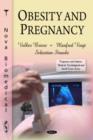 Image for Obesity &amp; Pregnancy