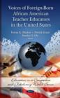 Image for Voices of Foreign-Born African American Teacher Educators in the United States
