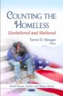 Image for Counting the homeless  : unsheltered and sheltered