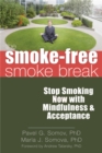 Image for The smoke-free smoke break  : stop smoking now with mindfulness and acceptance