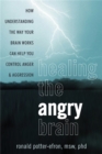 Image for Calming the angry brain  : how understanding the way your brain works can help you control anger and aggression