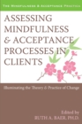 Image for Assessing Mindfulness and Acceptance Processes in Clients