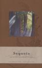 Image for Sequoia Hardcover Ruled Journal (Large) : Art Wolfe Signature Edition