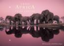 Image for Into Africa Wildlife: Blank Boxed Notecards