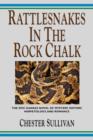 Image for RATTLESNAKES IN THE ROCK CHALK - Kaw Trilogy Vol. II