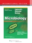 Image for Microbiology