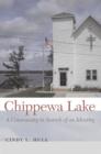 Image for Chippewa Lake: A Community in Search of an Identity