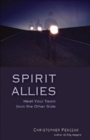 Image for Spirit allies: meet your team from the other side