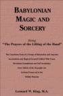 Image for Babylonian Magic and Sorcery