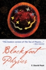 Image for Blackfoot Physics: A Journey into the Native American Universe.