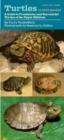 Image for Turtles in Your Pocket : A Guide to Freshwater and Terrestrial Turtles of the Upper Midwest